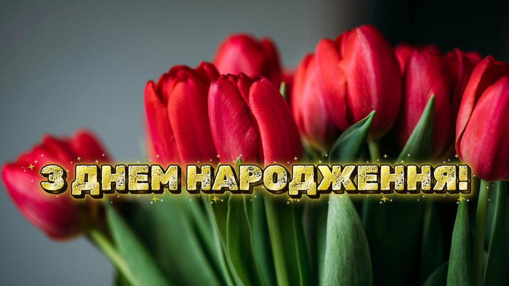 тюльпани креативні привітання з днем народження жінці в картинках